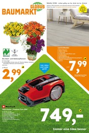 Aktueller Globus-Baumarkt Prospekt mit Gartenpflanzen, "Immer eine Idee besser", Seite 1