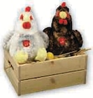 Poule ou coq ou ducky - Super U à Castres Poule ou coq ou ducky en promo chez Super U Castres à 12,99 €