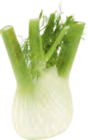 Fenchel bei EDEKA im Appen Prospekt für 2,49 €