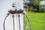 4-Wege-Verteiler bei PROFI Wesch im Großengottern Prospekt für 29,99 €