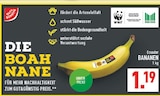 Aktuelle Bananen Angebote bei Marktkauf in Recklinghausen Aktuelles Bananen Angebot bei Marktkauf in Recklinghausen ab 1,19 €