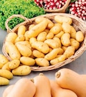 Promo Pommes de terre à 3,49 € dans le catalogue U Express à Orléans