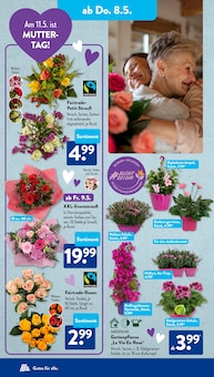 Sandalen Angebot im ALDI SÜD Prospekt, gültig von 05.05.2025 bis 10.05.2025 Sandalen Angebot im aktuellen ALDI SÜD Prospekt auf Seite 23