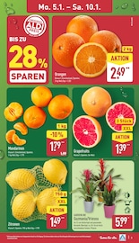 Aktueller ALDI Nord Prospekt mit Obst, "Aktuelle Angebote", Seite 3