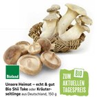 Bio Shiitake im Angebot bei Marktkauf in Stuttgart Bio Shiitake Angebote von Unsere Heimat – echt & gut bei Marktkauf Stuttgart