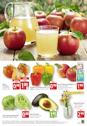 Ähnliche Umstandsmode Angebote im Prospekt "Aktuelle Angebote" von E center in Bruchsal Ähnliche Angebote wie Umstandsmode im Prospekt "Aktuelle Angebote" auf Seite 3 von E center in Bruchsal