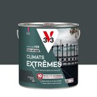 Peinture extérieure fer Climats extrêmes® V33 anthracite mat 2l - V33 - LEROY MERLIN Peinture extérieure fer Climats extrêmes® V33 anthracite mat 2l - V33 à 54,90 € dans le catalogue LEROY MERLIN