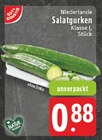Salatgurken bei EDEKA im Fröndenberg Prospekt für 0,88 €