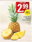 WEZ Rinteln Prospekt mit  im Angebot für 2,99 €