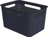 Box im Marktkauf Prospekt Box von Rotho im aktuellen Marktkauf Prospekt für 3,99 €