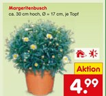 Margeritenbusch im Netto Marken-Discount Prospekt Margeritenbusch im aktuellen Netto Marken-Discount Prospekt für 4,99 €