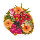 Bunter Strauß im aktuellen Netto mit dem Scottie Prospekt