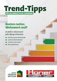 Honer Baustoffe Prospekt für Weilen unter den Rinnen und Umgebung: „Trend-Tipps FÜR DIE ENERGETISCHE SANIERUNG“, 16 Seiten, 14.02.2025 - 23.02.2025