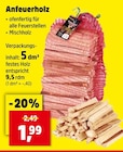 Anfeuerholz bei Thomas Philipps im Holthusen Prospekt für 1,99 €