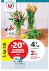 U Express Aix-en-Provence - Promo 10 Tulipes Promo 10 Tulipes à 3,67 € dans le catalogue U Express à Aix-en-Provence