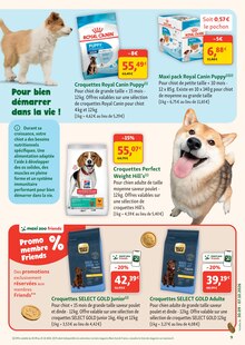 Promotion Coussin Chat dans le prospectus Maxi Zoo, valable du 30/09/2026 au 07/10/2026 Promo Coussin Chat dans le catalogue Maxi Zoo du moment à la page 9