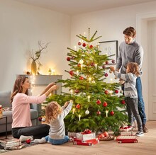 Weihnachtsbaum bei ALDI SÜD in Heidenheim Weihnachtsbaum im Angebot bei ALDI SÜD Heidenheim für 9,99 €