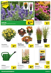 Aktueller Hagebaumarkt Prospekt mit Gartengeräte, "BRING DEIN ZUHAUSE ZUM STRAHLEN", Seite 2