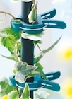 71-tlg. Pflanzenhalter-Set von GARDEN DREAM für 3,99 € bei Netto mit dem Scottie im Angebot 71-tlg. Pflanzenhalter-Set von GARDEN DREAM im aktuellen Netto mit dem Scottie Prospekt