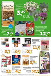 Ähnliche Aquarium Angebote im Prospekt "Immer eine Idee besser" von Globus-Baumarkt in Halle Ähnliche Angebote wie Aquarium im Prospekt "Immer eine Idee besser" auf Seite 4 von Globus-Baumarkt in Halle