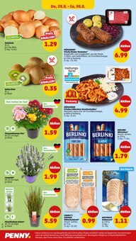 Hähnchen im Penny Prospekt "Wer günstig will, muss Penny." mit 34 Seiten (Ingolstadt)