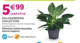 Promo Philodendron collection à 5,99 € dans le catalogue Delbard à Marseille