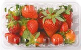Erdbeeren Angebote bei Netto mit dem Scottie Halle für 2,19 €