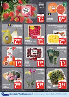 Tulpen im EDEKA Prospekt "Top Angebote" mit 24 Seiten (Lübeck)