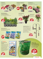 Aktueller V-Markt Prospekt mit Tulpen, "V-Markt einfach besser einkaufen", Seite 15