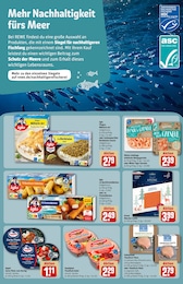 REWE Heringsfilet im Prospekt REWE Heringsfilet im Prospekt