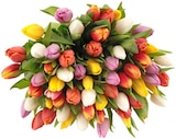 Tulpenstrauß "Dreams" Angebote bei REWE Elmshorn für 7,49 €