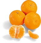 Satsumas bei Netto Marken-Discount im Prospekt "" für 1,69 €
