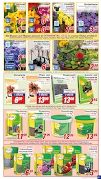 Rasendünger Angebot im aktuellen CENTERSHOP Prospekt auf Seite 5
