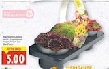 Aktuelles Herbstpflanzen Angebot bei EDEKA in Potsdam ab 5,00 €