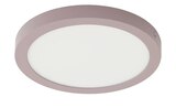 LED-Deckenleuchte, rund, violett von  im aktuellen Höffner Prospekt für 36,90 €