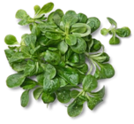 Dtsch. Feldsalat für 0,99 € bei Kaufland im Angebot Dtsch. Feldsalat im aktuellen Kaufland Prospekt