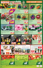 Promos Figurine dans le catalogue "Votre Discounter Régional" de Norma Figurine en promo dans le catalogue Norma à la page 4