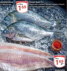 Aktuelle Lachs Angebote bei GLOBUS in Duisburg Aktuelles Dorade Royal Angebot bei GLOBUS in Duisburg ab 1,69 €