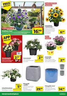 Hagebaumarkt Salzkotten Prospekt der aktuellen Woche, gültig von 09.05.2026 bis 16.05.2026 Aktueller Hagebaumarkt Salzkotten Prospekt "FREU DICH AUF DEINE VOLLE LADUNG GARTEN" mit 16 Seiten