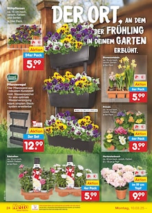 Blumen im Netto Marken-Discount Prospekt "Aktuelle Angebote" mit 56 Seiten (Neuss)