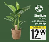 Strelitzie bei EDEKA im Bernried Prospekt für 12,99 €
