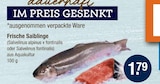 Saibling im V-Markt Prospekt Frische Saiblinge im aktuellen V-Markt Prospekt für 1,79 €