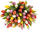 Tulpenstrauß "Dreams" Angebote bei REWE Salzgitter für 7,49 €