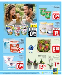 EDEKA Heidelbeeren im Prospekt 