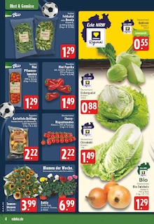 Tomaten im E center Prospekt "Aktuelle Angebote" mit 26 Seiten (Krefeld)