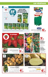 Offre Pomme dans le catalogue Super U du moment à la page 5