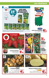 Pomme De Terre Angebote im Prospekt "Le jardin À PRIX BAS" von Super U auf Seite 5