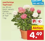 Angebot im Netto Marken-Discount Düsseldorf Prospekt Netto Marken-Discount Düsseldorf Prospekt mit  im Angebot für 4,49 €