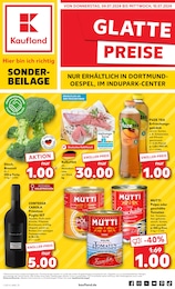 Aktueller Kaufland Supermärkte Prospekt für Bergkamen: Aktuelle Angebote mit 8} Seiten, 04.07.2024 - 10.07.2024