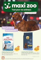 Catalogue Jardineries & Animaleries Maxi Zoo en cours à Iteuil et alentours, "Des promos lumineuses !", 15 pages, 02/10/2024 - 09/10/2024